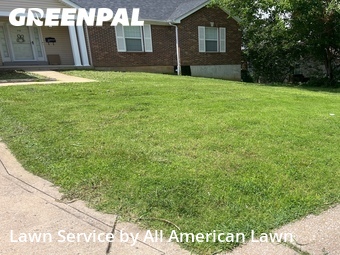 Yard Cutting in St. Louis, 63119, Lawn Maintenance by All American Lawn , work completed in 11 Jun, 2026 