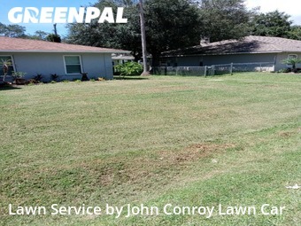 Grass Cutting nearby Venice, FL, 