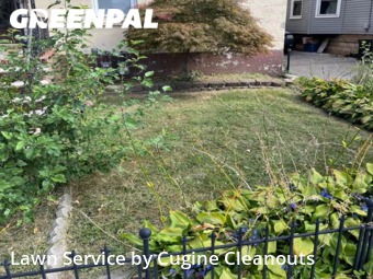 Lawn Mow nearby Rahway, NJ, 