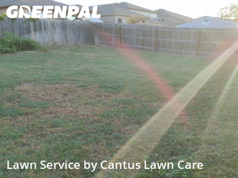 Lawn Maintenance nearby Converse, TX, 