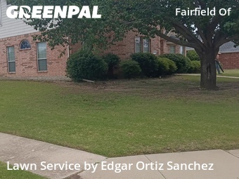 Grass Cutting nearby Plano, TX, 