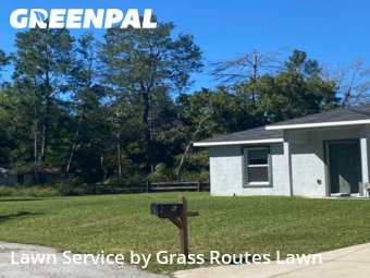 Turf Services in Ocala, 34472, Lawn Upkeep by Grass Routes Lawn , work completed in Oct , 2025