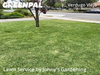 grass-trimming-service-in-Los Angeles-CA