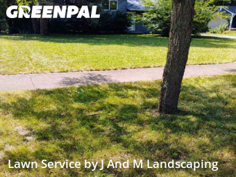 Grass Cut nearby Bolingbrook, IL, 