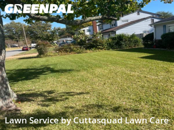 Lawn Care Service nearby Virginia Beach, VA, 