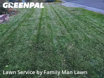 Lawn Cut nearby Lone Tree, CO, 