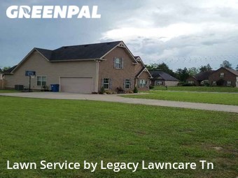 Grass Cut nearby Murfreesboro, TN, 