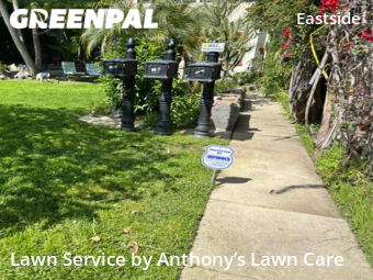Lawn Mow nearby Long Beach, CA, 