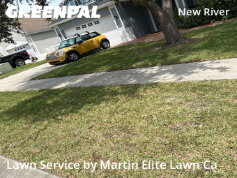 Lawn Care nearby Wesley Chapel, FL, 