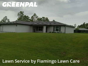 Lawn Service nearby Port Charlotte, FL, 