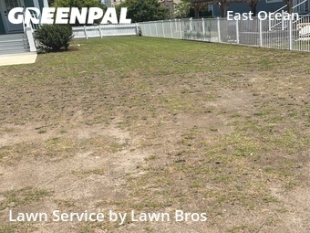 Lawn Cutting nearby Norfolk, VA, 