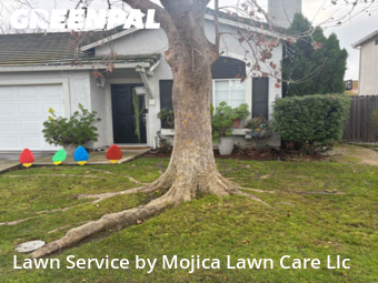 Backyard Landscaping In Elk Grove,95758,Landscaping Services by Mojica Lawn Care Llc, work completed in Jan , 2026