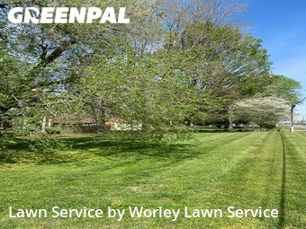 Lawn Care nearby Murfreesboro, TN, 