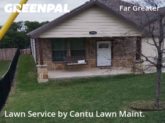 Grass Cut nearby Fort Worth, TX, 