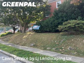 Yard Mowing nearby Drexel Hill, DE, 