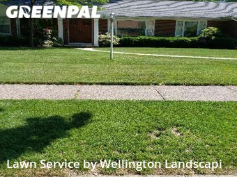 Lawn Service nearby Erie, PA, 