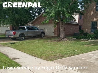 Grass Cut nearby Princeton, TX, 