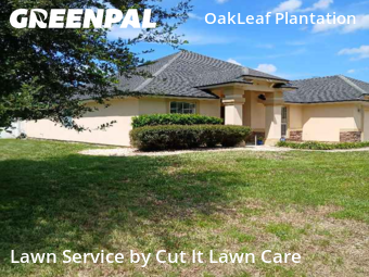 Lawn Mow nearby Orange Park, FL, 