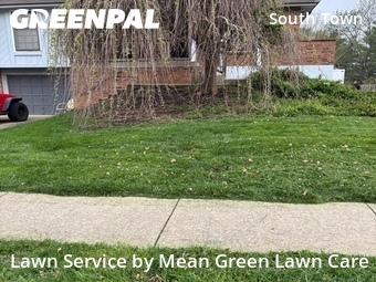 Yard Cutting nearby Lee's Summit, MO, 