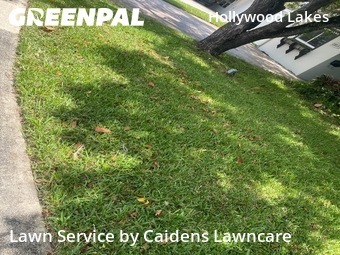 Lawn Maintenancein Hollywood,33019,Lawn Cut by Caidens Lawncare , work completed in Jun , 2026
