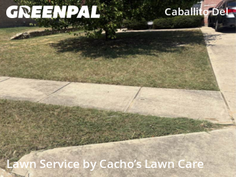 Yard Cutting nearby Fort Worth, TX, 