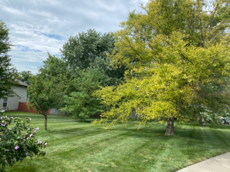 Order Lawn Care in Noblesville, IN, 46062