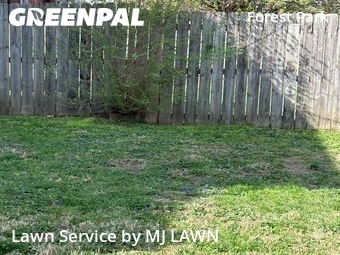 Yard Mowing nearby St. Louis, MO, 