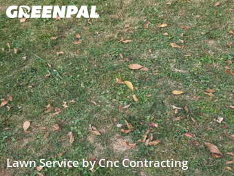 Yard Mowing nearby Struthers, OH, 