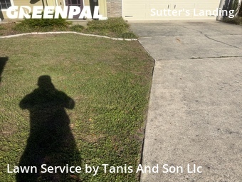 Yard Cutting nearby Gainesville, FL, 