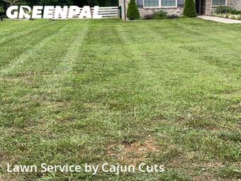 Lawn Care nearby Christiana, TN, 