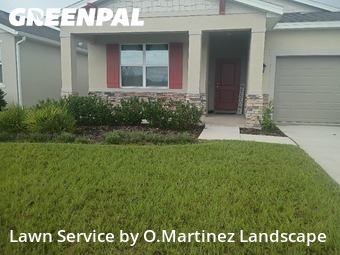 Lawn Cut nearby Leesburg, FL, 