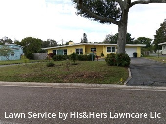 Grass Cutting nearby Saint Petersburg, FL, 