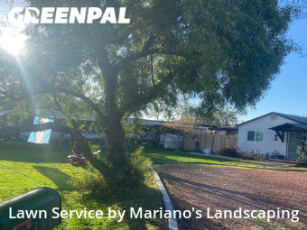 Lawn Cut nearby Phoenix, AZ, 