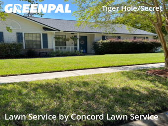 Lawn Cutting nearby Jacksonville, FL, 