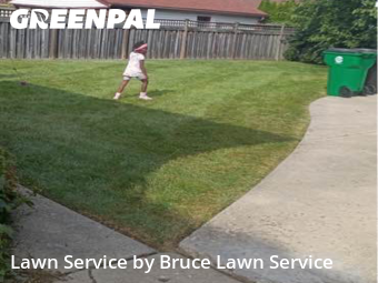 Property Maintenance in Westchester, 60154, Lawn Care by Bruce Lawn Service, work completed in Nov , 2025