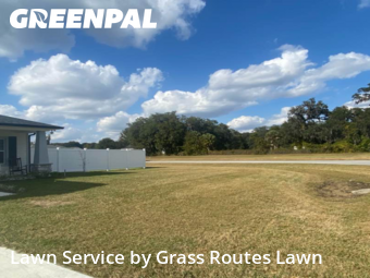 Yard Upkeep in Ocala, 34480, Yard Upkeep by Grass Routes Lawn , work completed in Dec , 2025