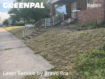 Yard Cutting nearby St. Louis, MO, 