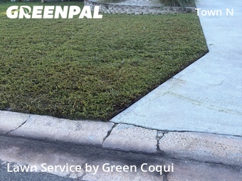 Grass Cut nearby Tampa, FL, 