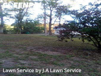 Grass Cut nearby Conroe, TX, 