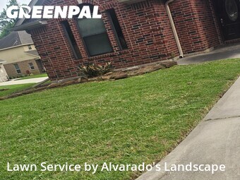 Landscaping Renovation In Montgomery,77356,Landscaping Installation by Alvarado's Landscape, work completed in Jun , 2026