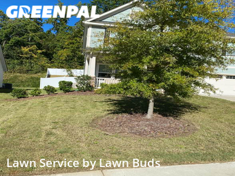 Lawn Mow nearby Belmont, NC, 