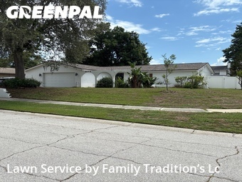 Lawn Mowing nearby Brandon, FL, 