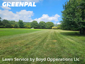 Lawn Mow nearby Summerfield, NC, 