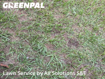 Lawn Care Service nearby Haines City, FL, 