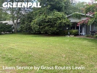 Grass Cut nearby Ocala, FL, 