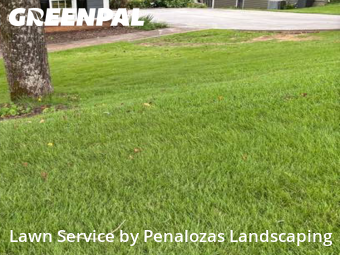 Lawn Mow nearby Cumming, GA, 