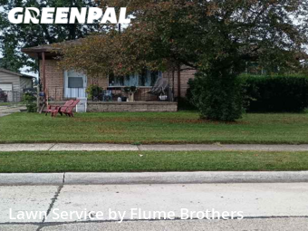 Yard Cutting nearby Roseville, MI, 