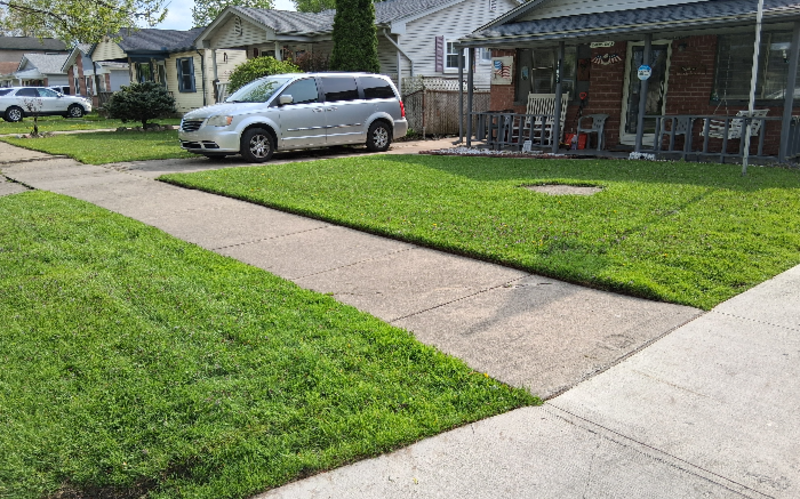 Work Image 1