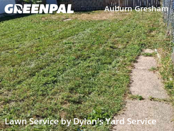 Lawn Cut nearby Chicago, IL, 