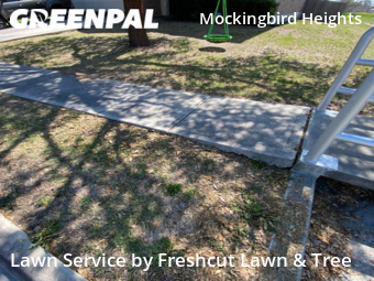 Yard Cutting nearby New Braunfels, TX, 